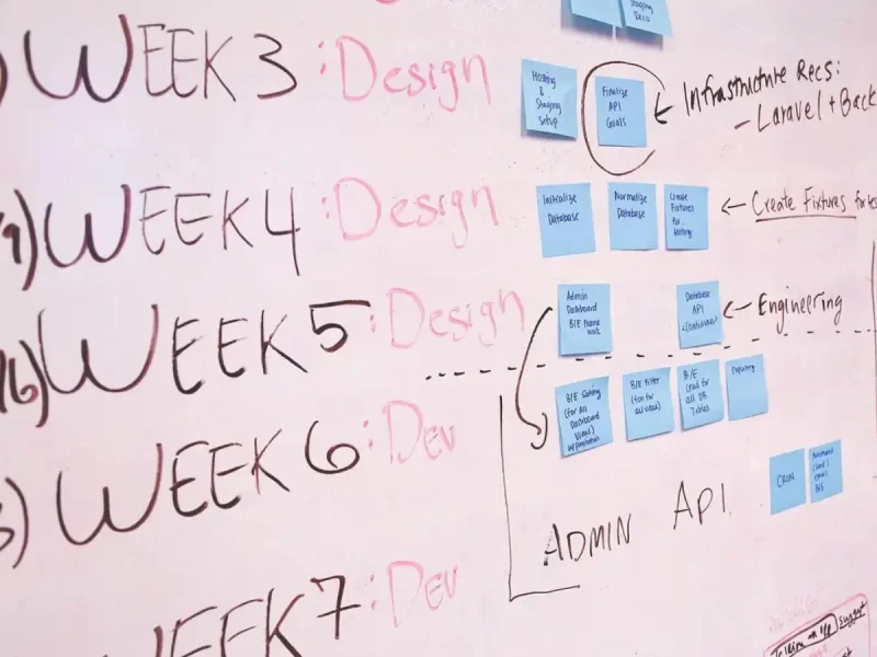 project management and consultancy